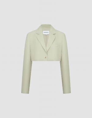 Blazer Urban Revivo Tailored A-Line Femme Vert | AFZ8837BB