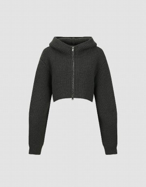 Cardigan Urban Revivo Zippé Front Encapuchonné Tricoté Femme Grise | IDI4650HB