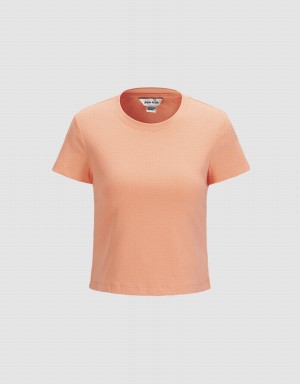 T Shirts Urban Revivo Basic Fitted Femme Orange Clair | GPL2292CJ