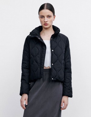 Veste Puffer Urban Revivo Matelassé Femme Noir | UGF5588FE