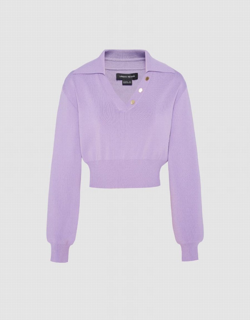 Cardigan Urban Revivo Cropped Knit Femme Violette | VEP2438RL