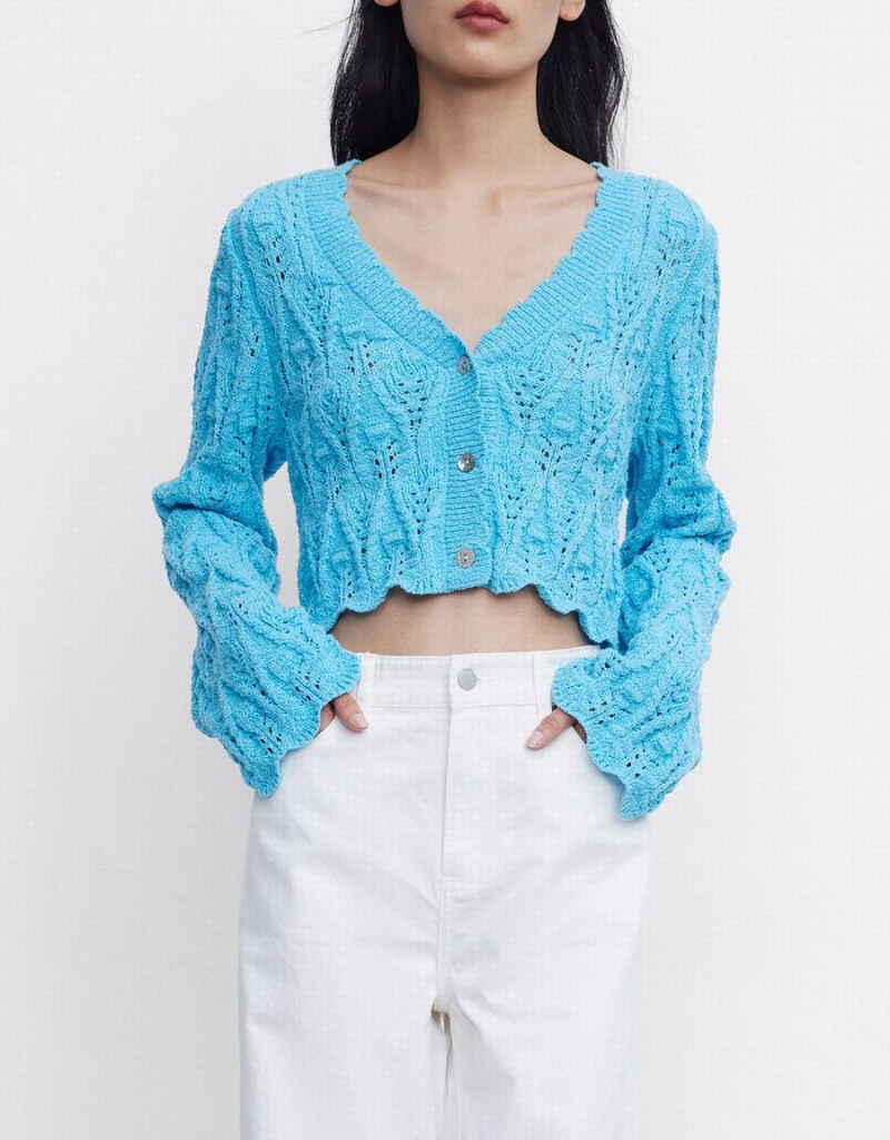 Cardigan Urban Revivo Pointelle Button Up Femme Bleu | EDH7876BC