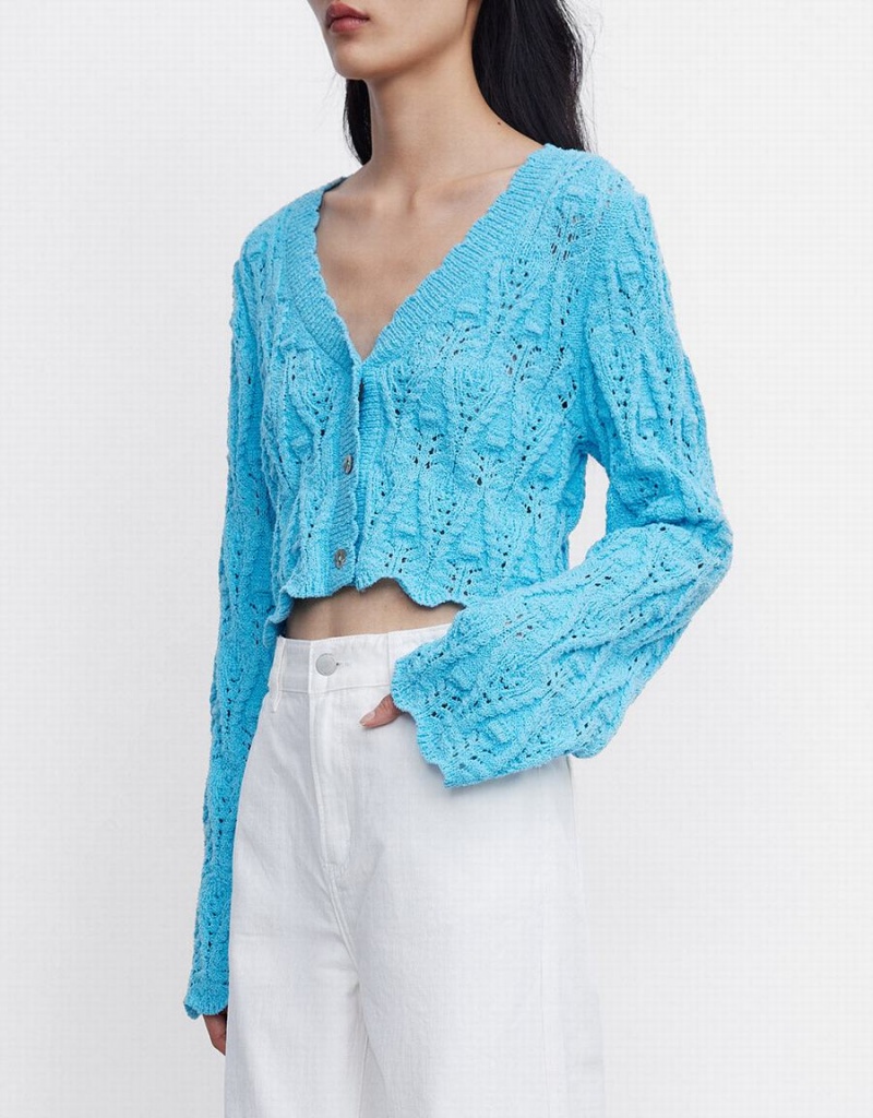 Cardigan Urban Revivo Pointelle Button Up Femme Bleu | EDH7876BC